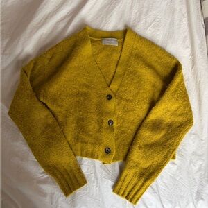 Everlane Mustard Yellow Cardigan Sweater